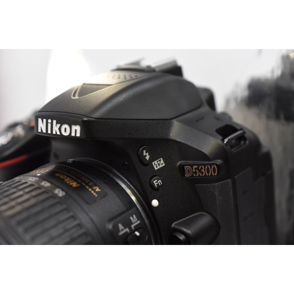 NIKON D 5300 + 18-55 MM VR GII   1631 clics