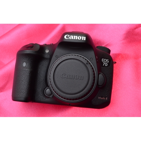 CANON EOS 7D MK II NU  13912 clics