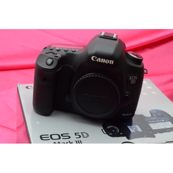 CANON EOS 5D MK III  93396 clics